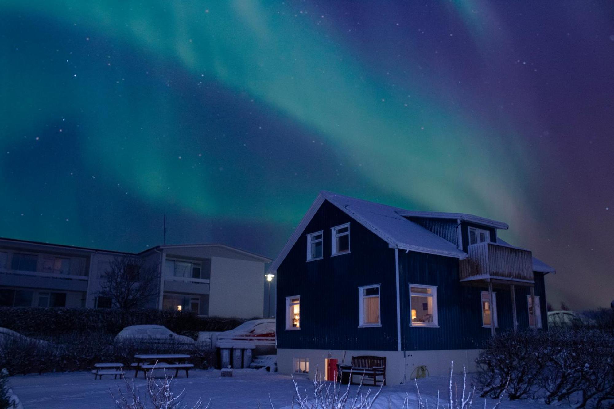Blue House B&B Seltjarnarnes Dış mekan fotoğraf